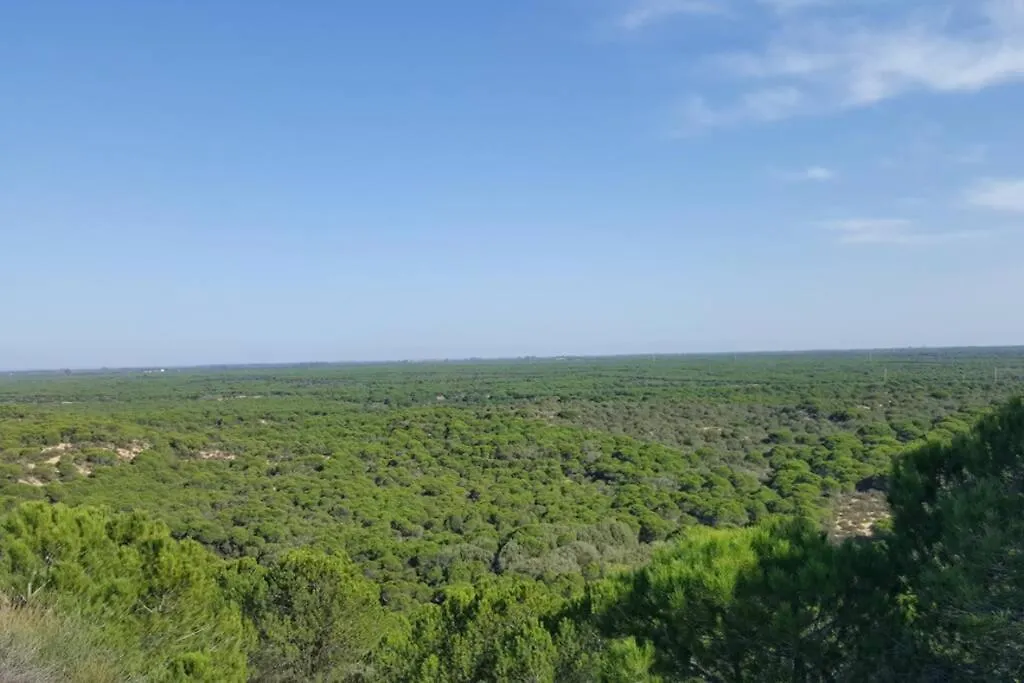 Playa Y Naturaleza 마탈라스카나스 아파트