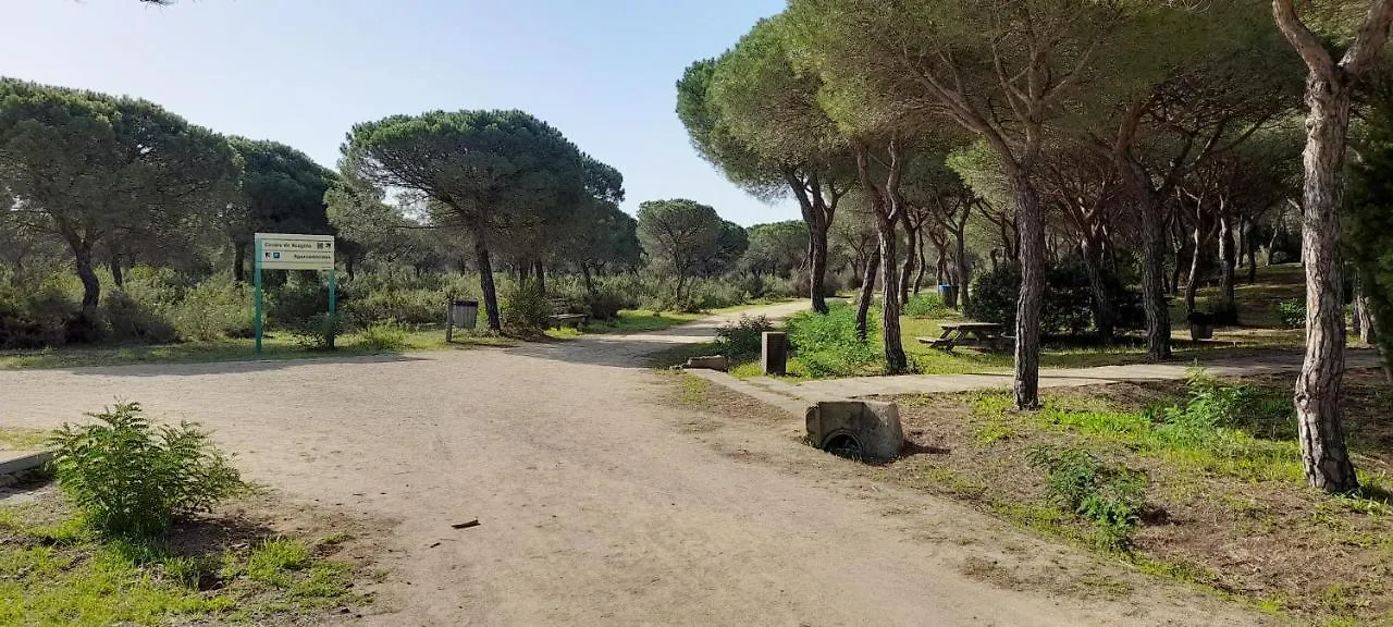 아파트 Playa Y Naturaleza 마탈라스카나스