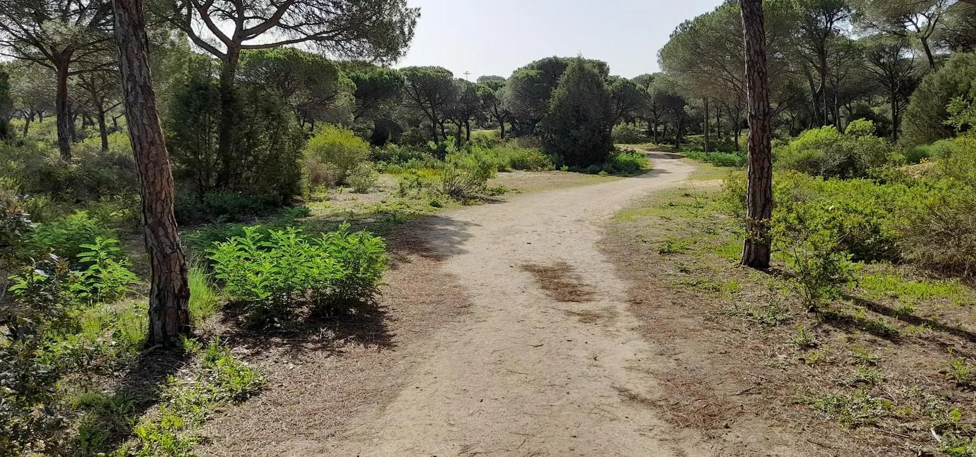 Playa Y Naturaleza 마탈라스카나스 0*,